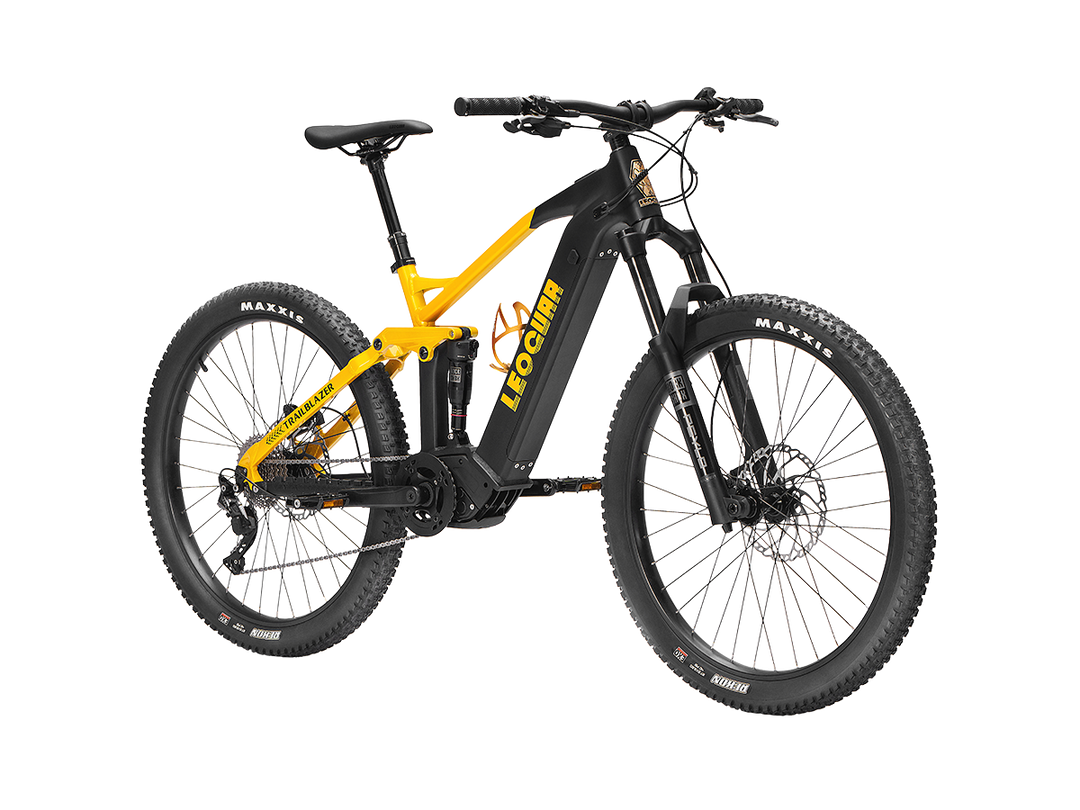 Trailblazer Mid-drive Motor EMTB1