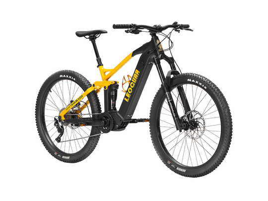 Trailblazer Mid-drive Motor EMTB1