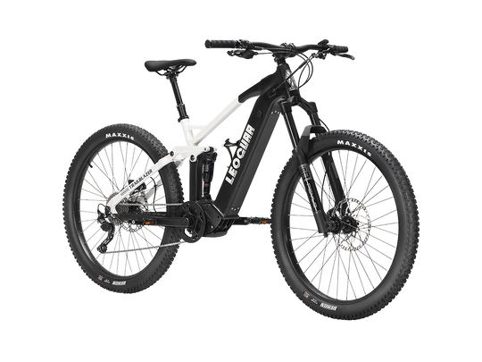 Trailblazer Mid-drive Motor EMTB1