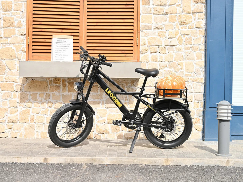 Sprint Fat Tire Utility Ebike