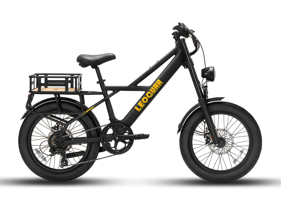 Sprint Fat Tire Utility Ebike