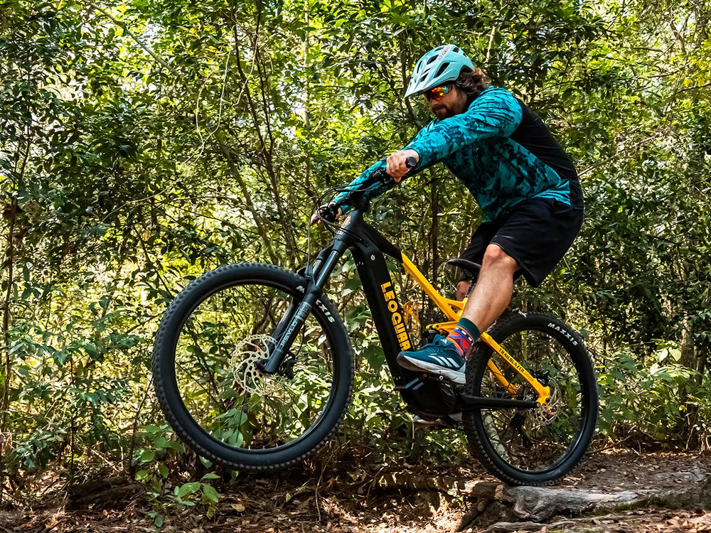 Trailblazer Mid-drive Motor EMTB