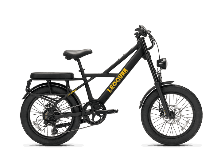 Sprint Fat Tire Utility Ebike