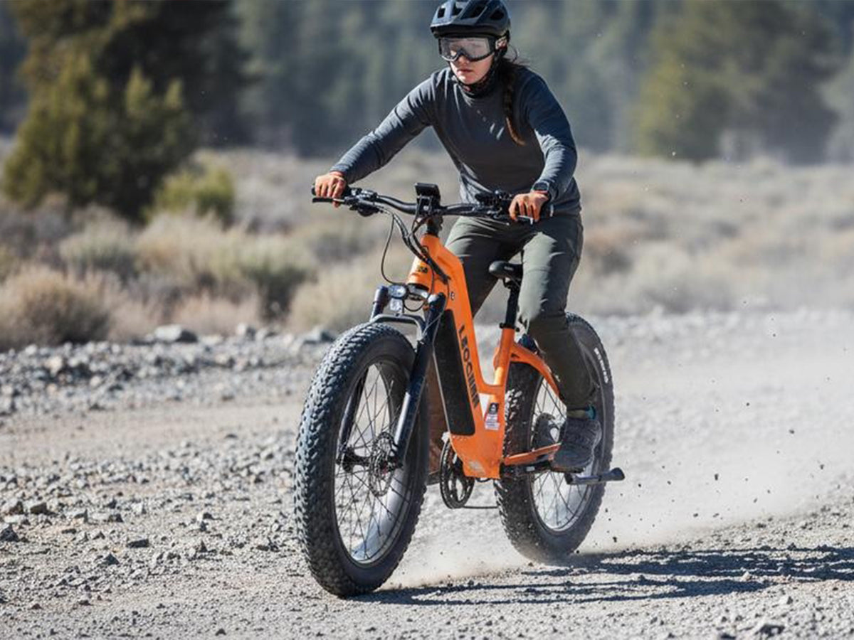 Leoguar Ebikes