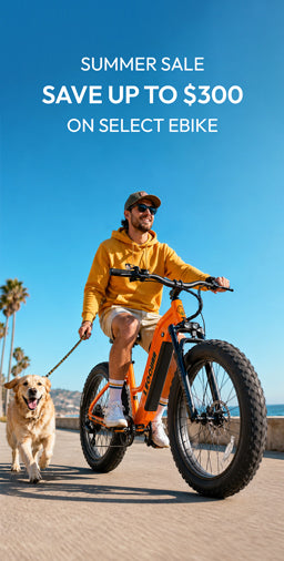 Leoguar Ebikes