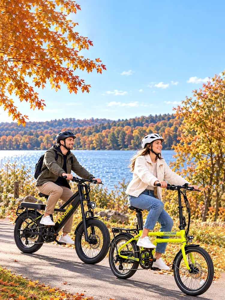Leoguar Ebikes