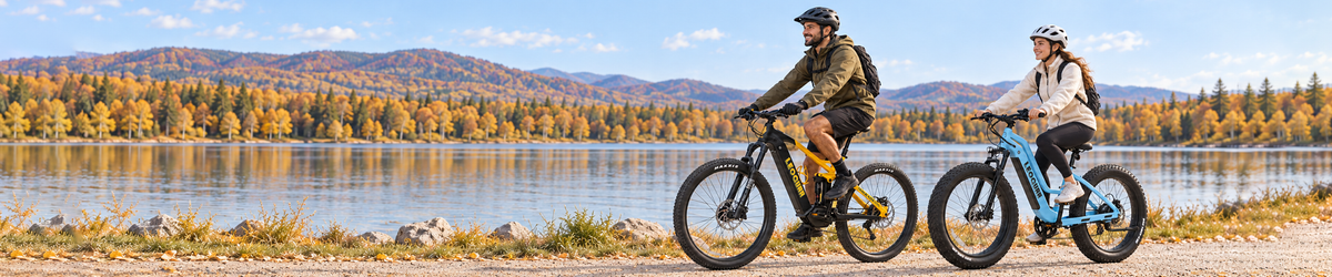 Leoguar Ebikes