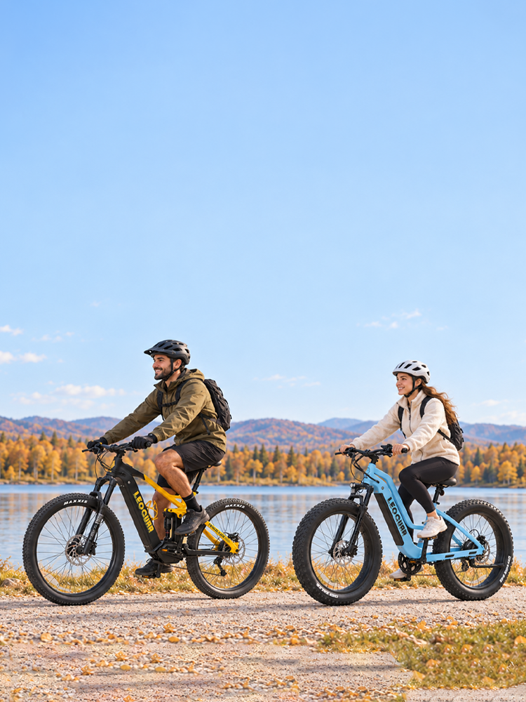 Leoguar Ebikes