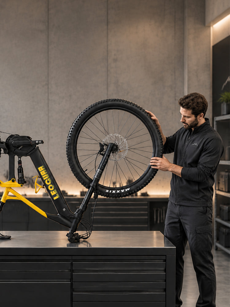 Leoguar Ebikes