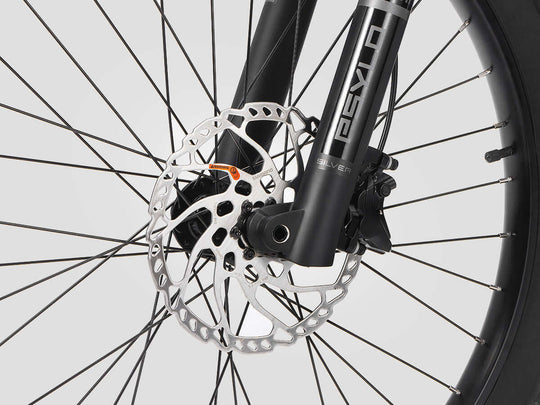 203mm Dual Hydraulic Disc Brakes