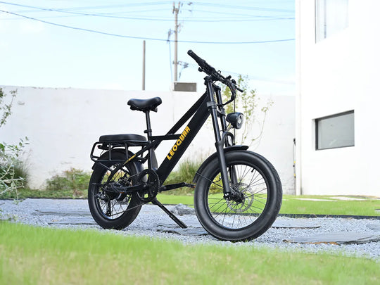 Sprint Fat Tire Utility Ebike