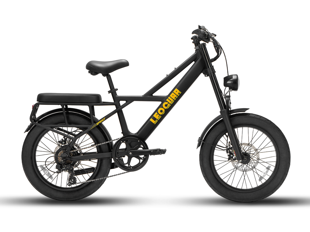 Sprint Fat Tire Utility Ebike