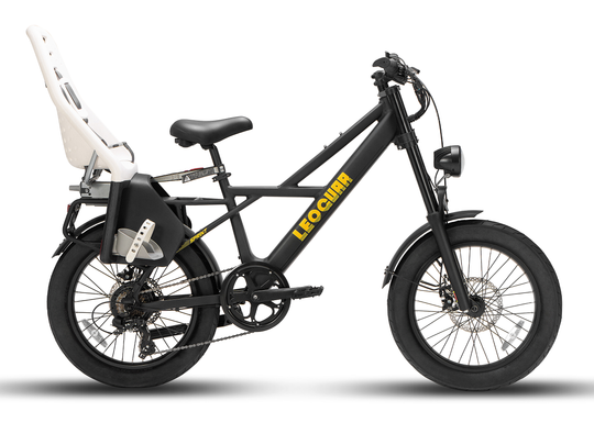 Sprint Fat Tire Utility Ebike