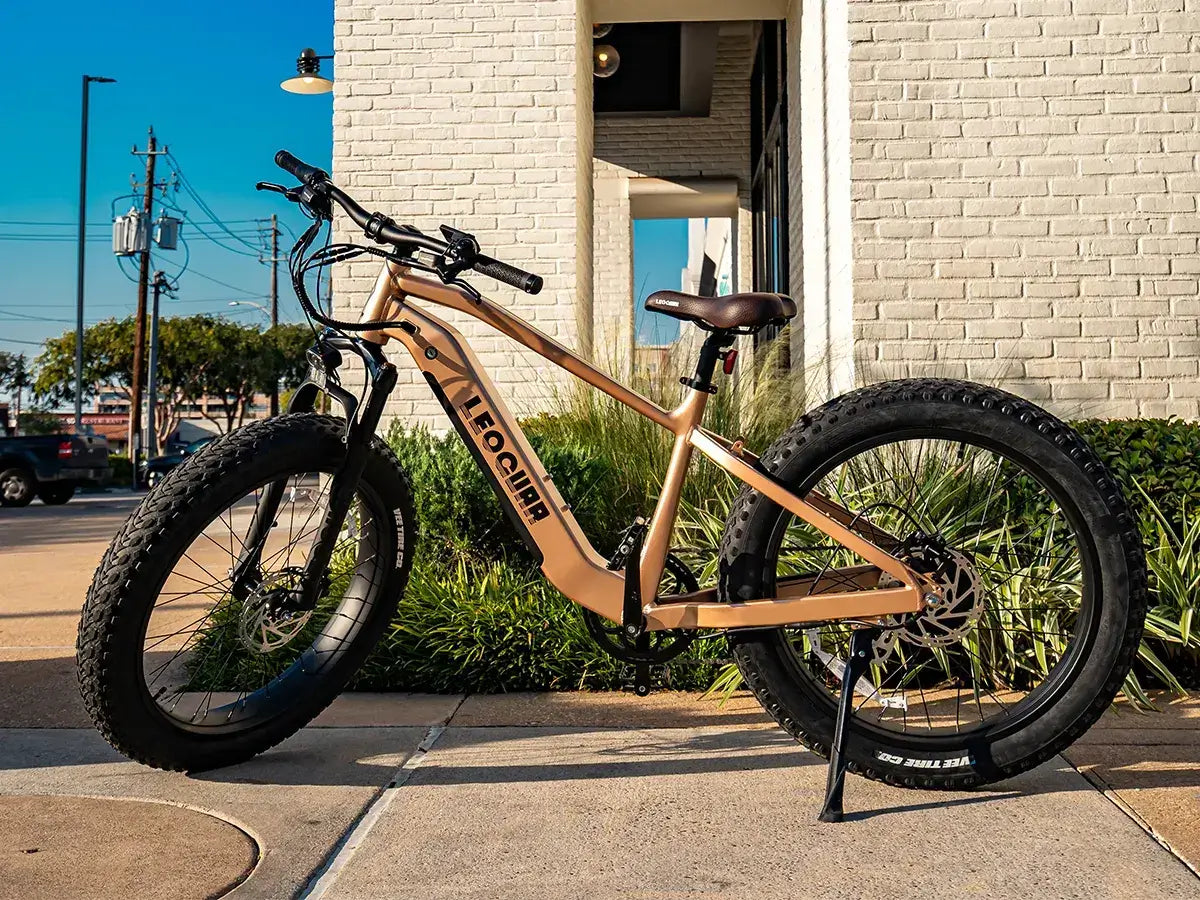 fat tires electric bike