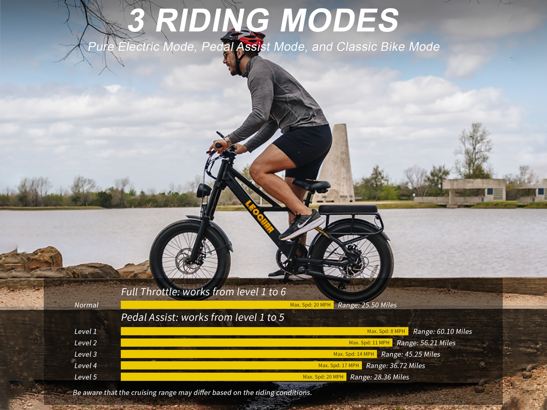 Sprint Fat Tire Utility Ebike