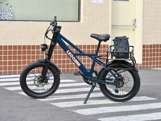 Sprint Fat Tire Utility Ebike