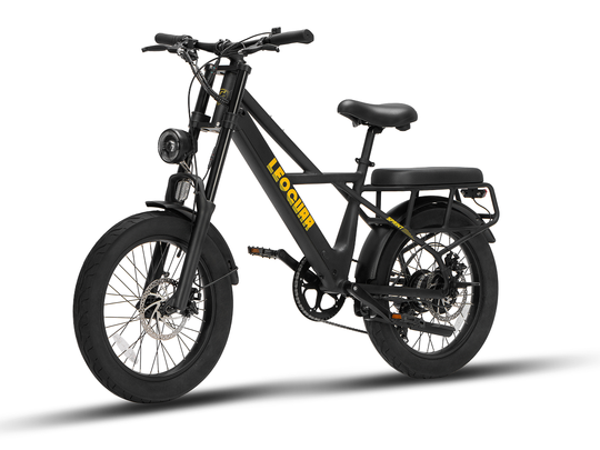 Sprint Fat Tire Utility Ebike