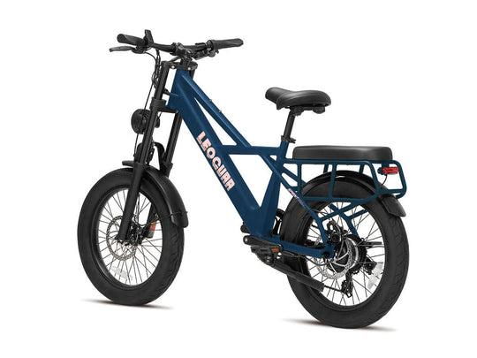 Utility ebike with wide rear passenger rack
