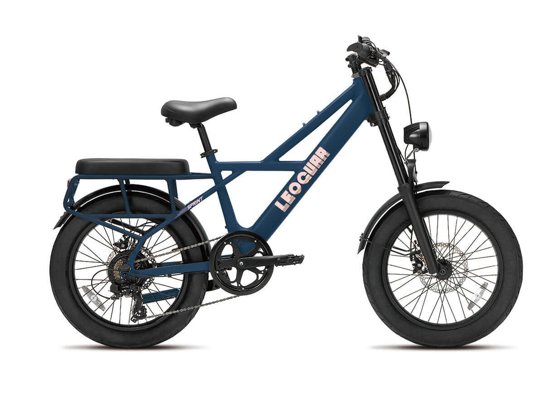 Utility fat tire ebike with rear seat setup