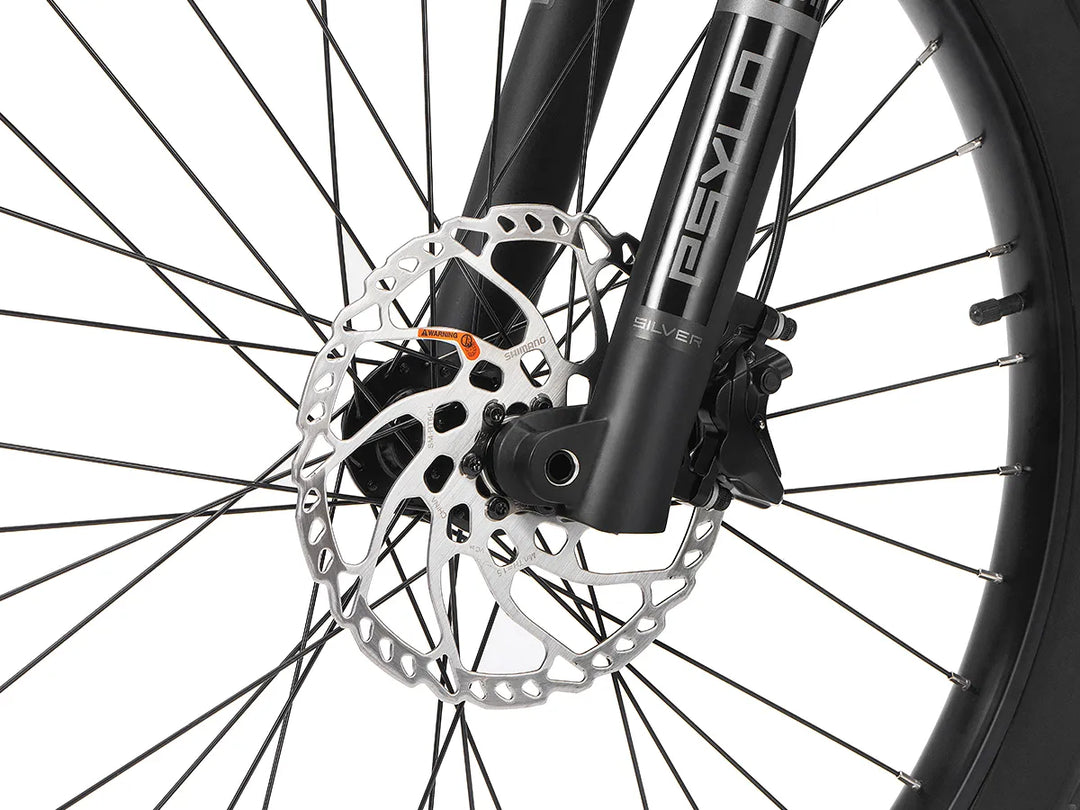 Dual Hydraulic Disc Brakes