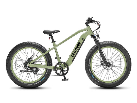 Right-side view of Fastron SO ebike with suspension fork and green-accented fat tires