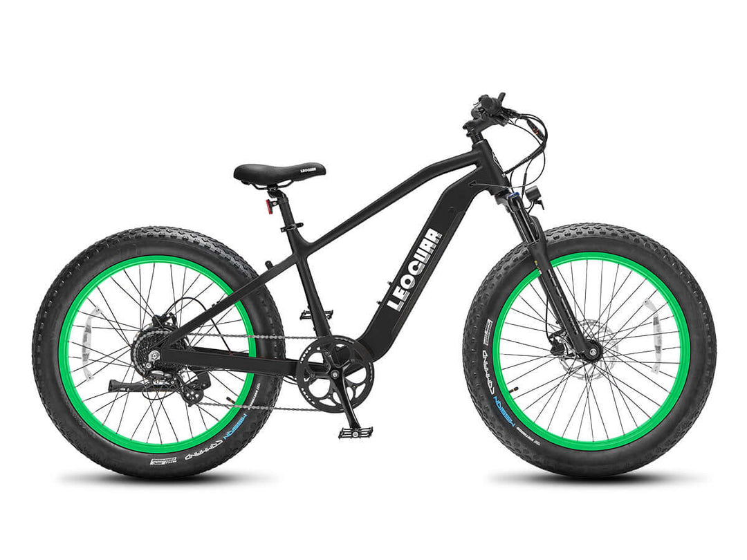 Leoguar Fastron SO Fat Tire Ebike, 750W Motor, 28MPH, 60 Miles Range, All-Terrain Electric Bike, Avocado Green