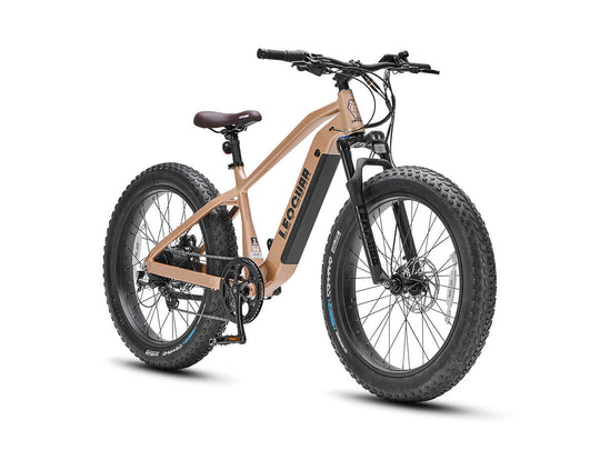 Urban photo of two Fastron SO ebikes parked in plaza, showcasing motor and rear rack