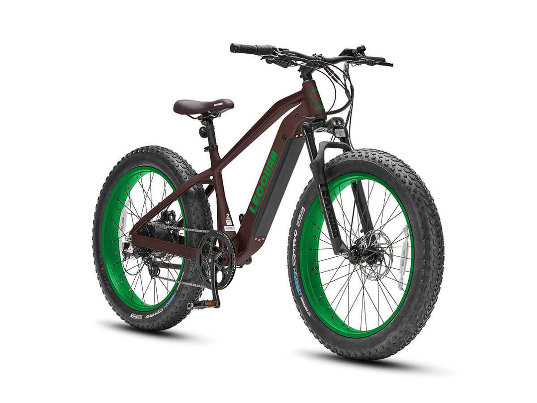 Front-angle studio shot of Fastron SO electric mountain bike with fat tires