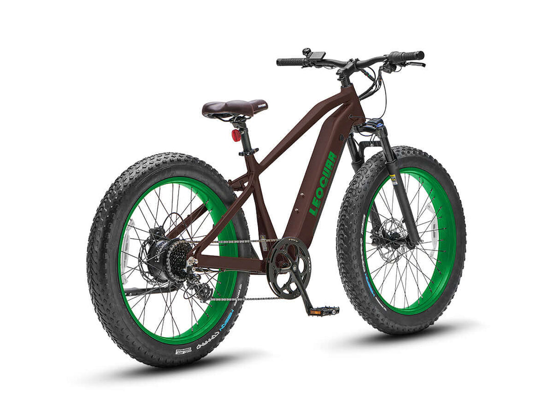 Side-by-side studio view of two Fastron SO fat tire ebikes with step-over frames