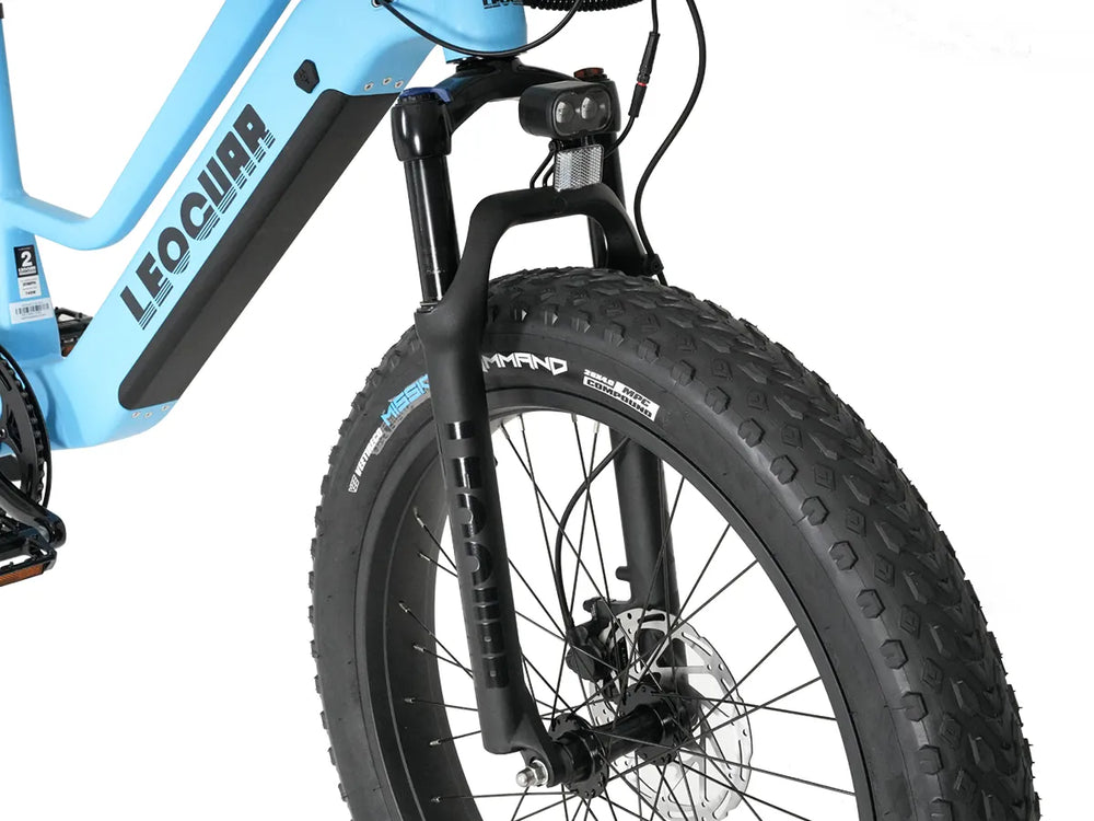 leoguar ebike front fork