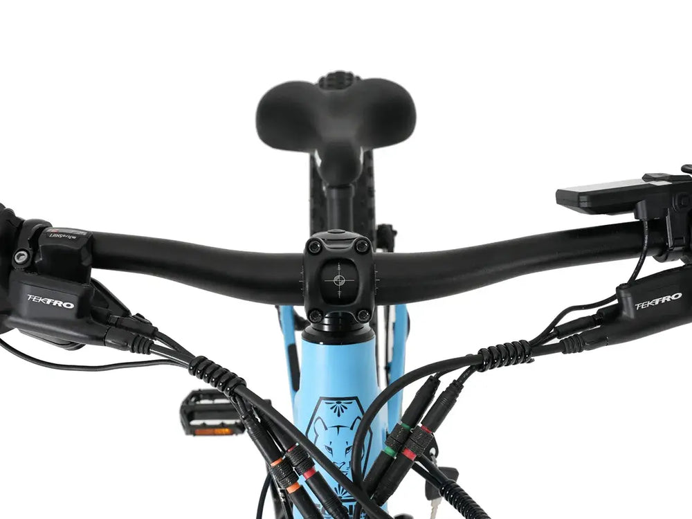 Leoguar Ebikes