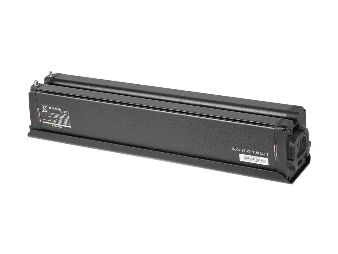 battery for Leoguar ebike