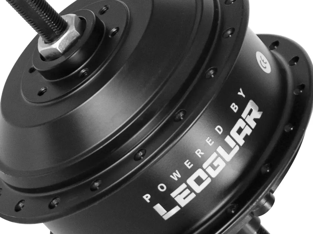 Leoguar Flippo motorised bike motor