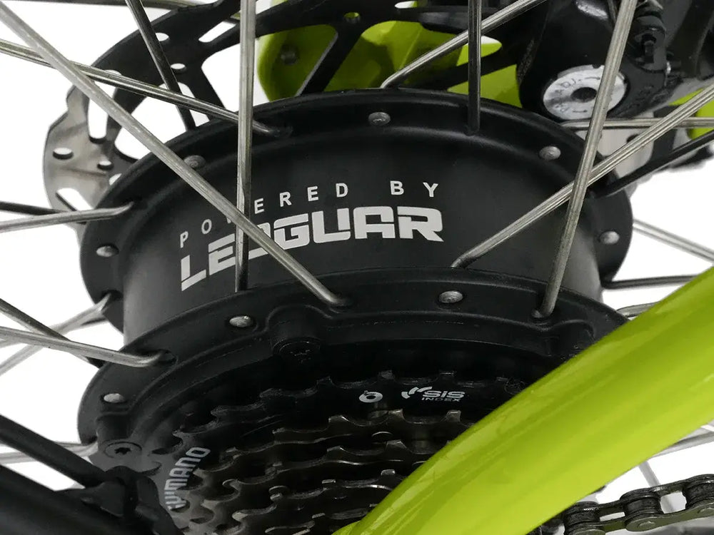 Leoguar Ebikes