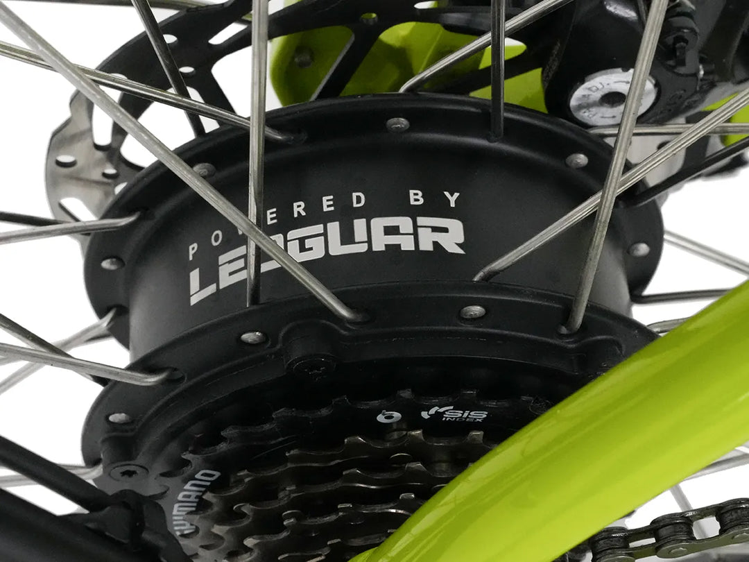 leoguar ebike motor