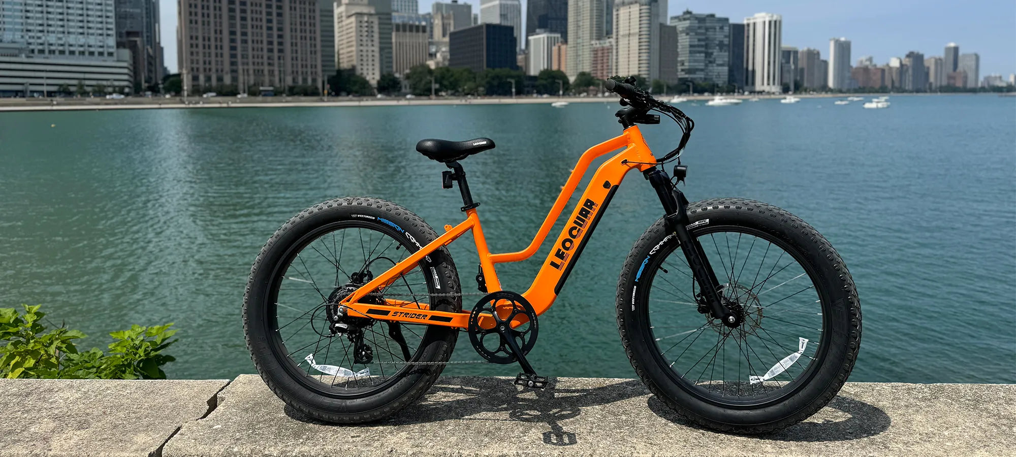 Leoguar electric bike