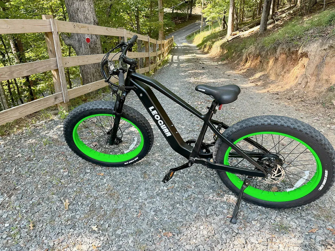 Fathawk SO Fat Tire Ebike