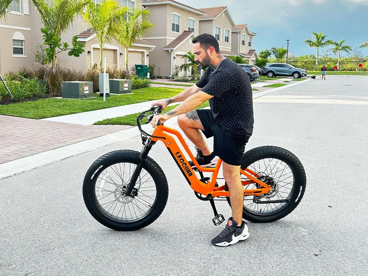 Leoguar Ebikes