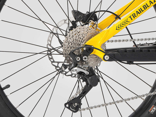 Mid-drive Motor Ebike Shimano 10-Speed Gearing