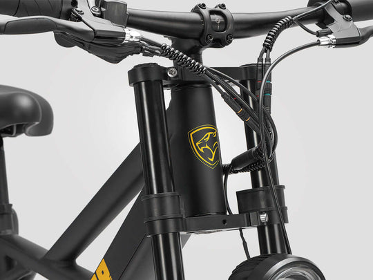 Sprint dual suspension front fork