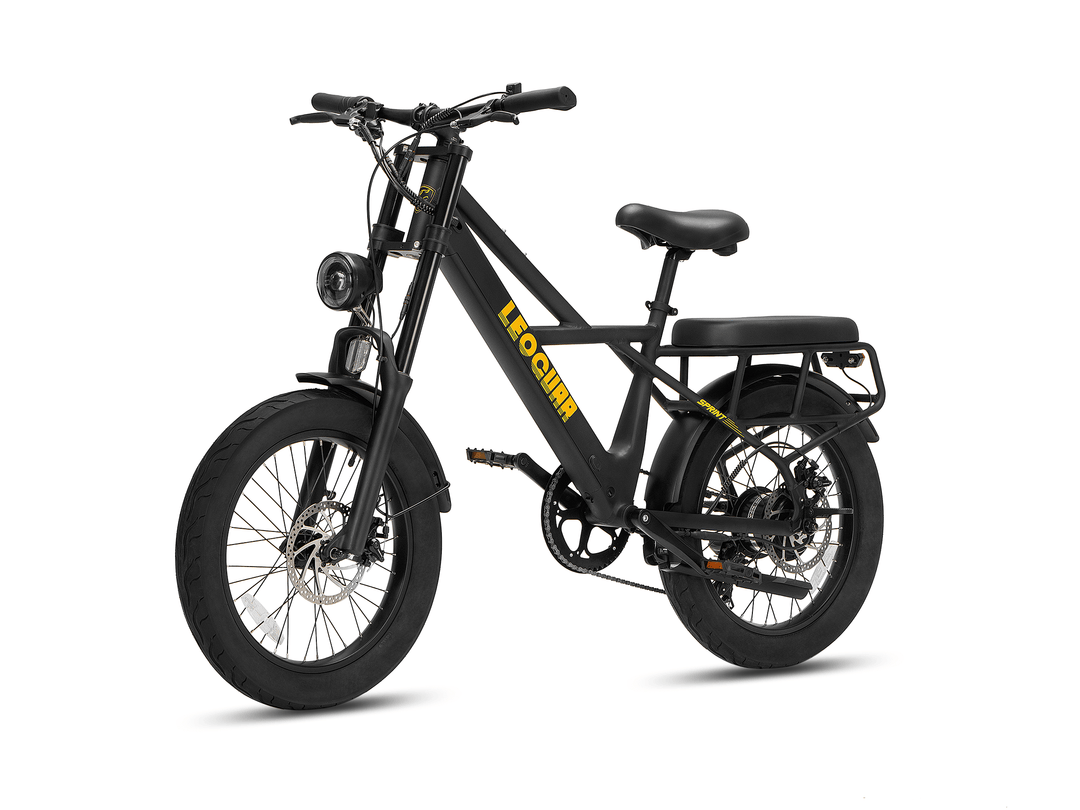 Sprint Fat Tire Utility Ebike by Leoguar featuring oversized fat tires and a rear cargo mount.