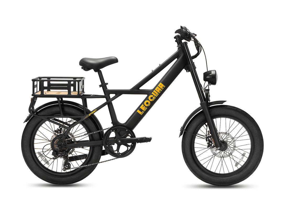 Sprint Fat Tire Utility Ebike in black with oversized tires and versatile rear cargo mount from Leoguar.