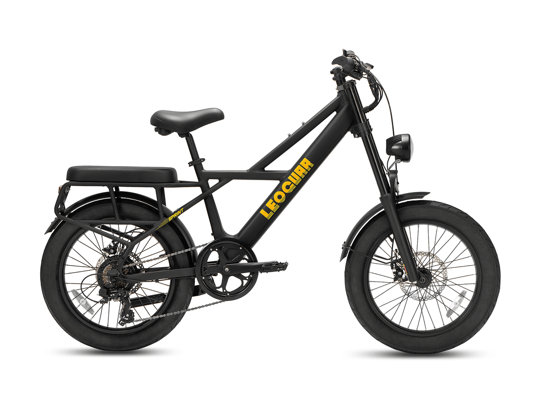 Sprint Fat Tire Utility Ebike in black with oversized tires and a rear cargo mount for versatile transportation.