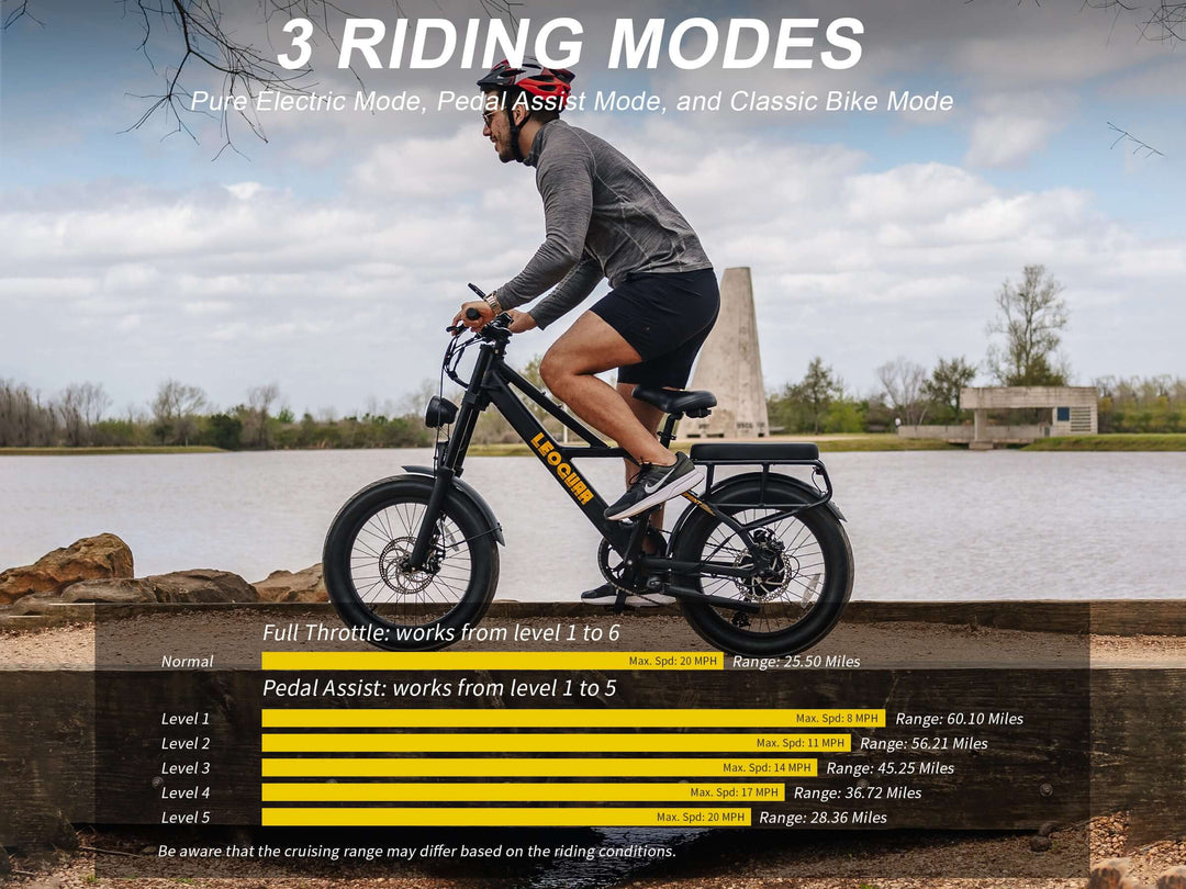 Person riding the Sprint Fat Tire Utility Ebike demonstrating its 3 riding modes by a lake.