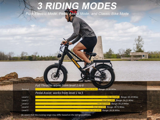 Person riding the Sprint Fat Tire Utility Ebike demonstrating its 3 riding modes by a lake.