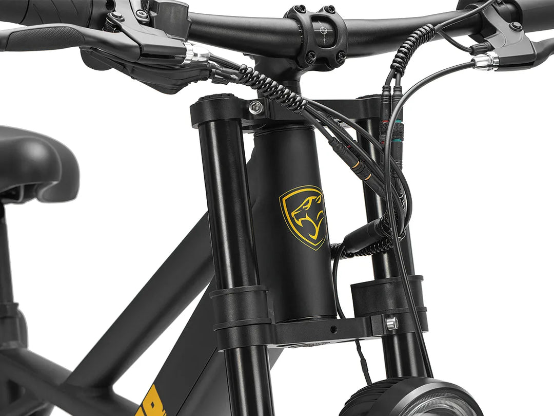 Dual-Crown Suspension for Smooth City Rides