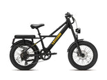 utility electric bike