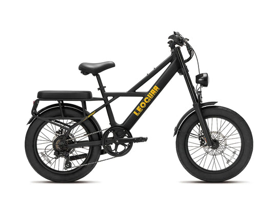 sprint fat tire ebike