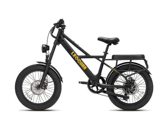 Sprint Fat Tire Utility Ebike