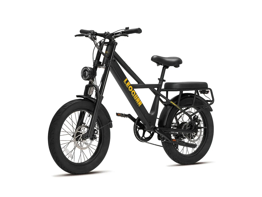 Sprint Fat Tire Utility Ebike